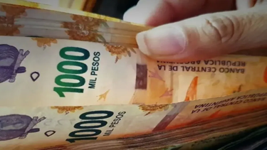 El nuevo bono de fin de año es de 26 mil pesos, y está destinado a los trabajadores rurales en relación de dependencia.