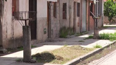 Mataron a 4 gatos: denuncian envenenamiento de mascotas en barrio 8 de Marzo Mataron a 4 gatos: denuncian envenenamiento de mascotas en barrio 8 de Marzo