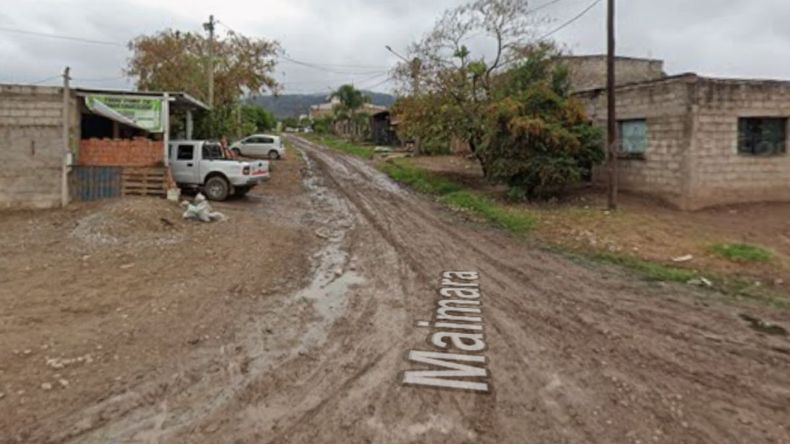 Ledesma: una adolescente resultó herida tras un accidente provocado por animales sueltos