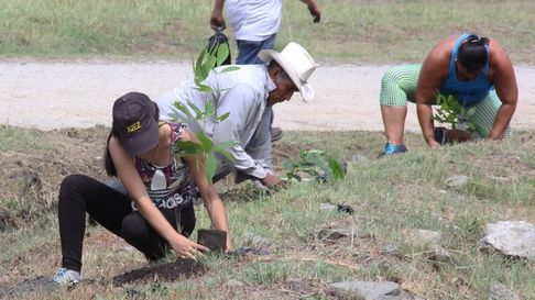 Todo Jujuy | plantación de árboles.jpg