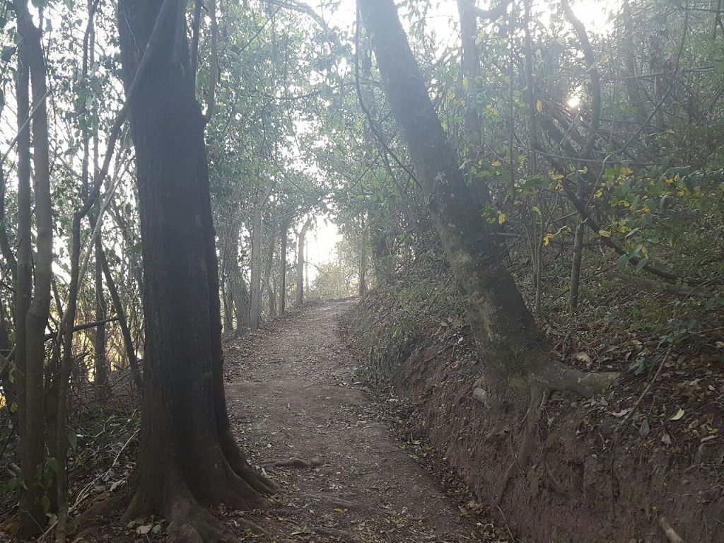 Parque Botánico