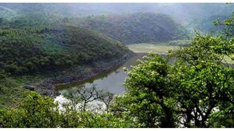 Yungas
