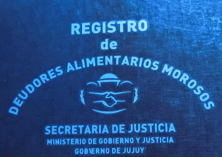 Registro de Deudores Alimentarios Morosos (REDAM) perteneciente a la Secretaría de Justicia.