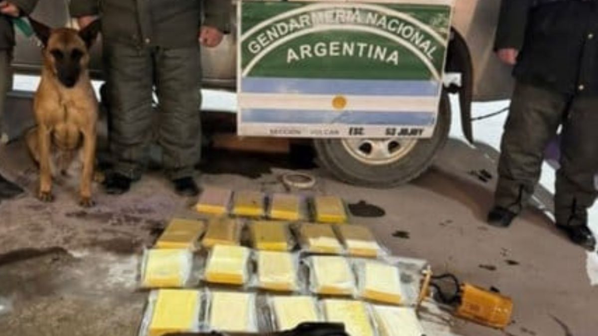 Viajaban de La Quiaca a Buenos Aires con 20 kilos de cocaína y fueron detenidos