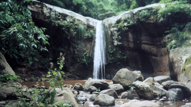 Quebrada de Yariguarenda, Salta.