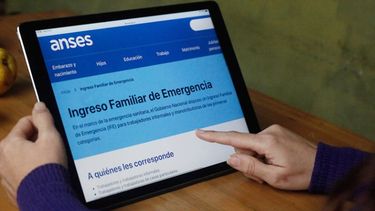 IFE - ANSES