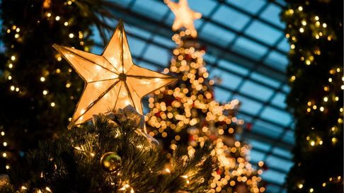 Todo Jujuy | Cuál es el significado de colocar una estrella arriba del árbol de Navidad