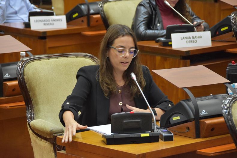 Sesión en la Legislatura: diputada Gisel Bravo.