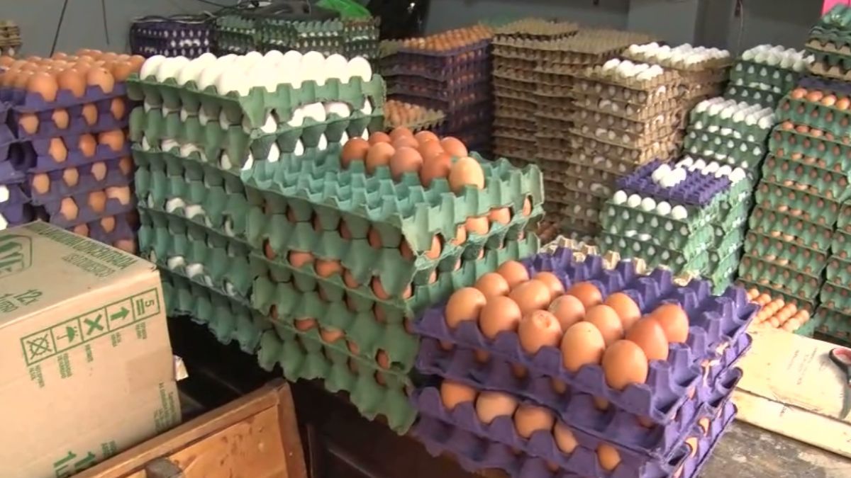 Los 30 huevos frescos se venden en un margen que va de $640 a $750 según productores locales.
