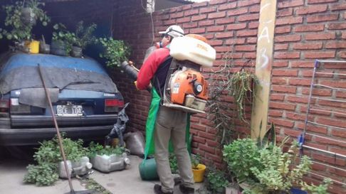 Todo Jujuy | salta oran dengue.jpg