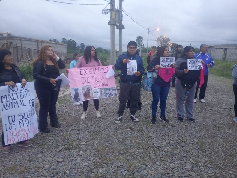 Marcha por perros que habrían sido envenenados en Río Blanco.