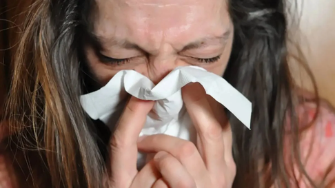 Todo Jujuy | Gripe