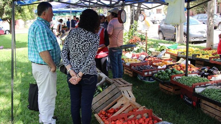 Feria Campesina: llega el 6to encuentro a Ciudad Cultural