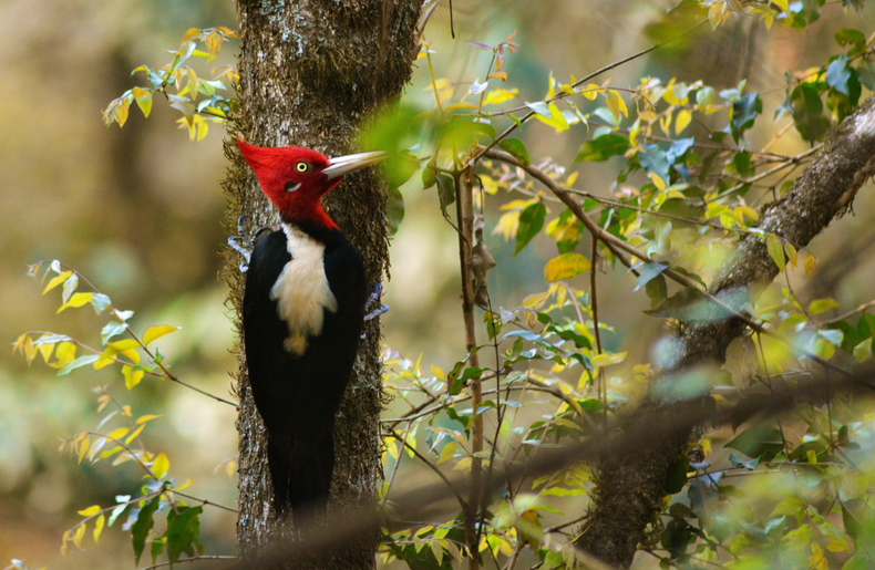 Parque Botánico Municipal.