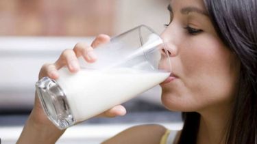 Día Mundial de la Leche: sus múltiples beneficios para la salud respaldados por la ciencia. Día Mundial de la Leche: sus múltiples beneficios para la salud respaldados por la ciencia.