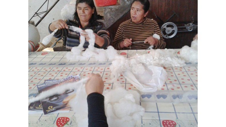 Cooperativa de El Carmen