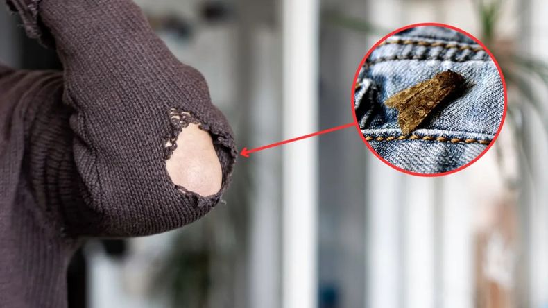 El truco para alejar polillas de la ropa en casa. &nbsp;