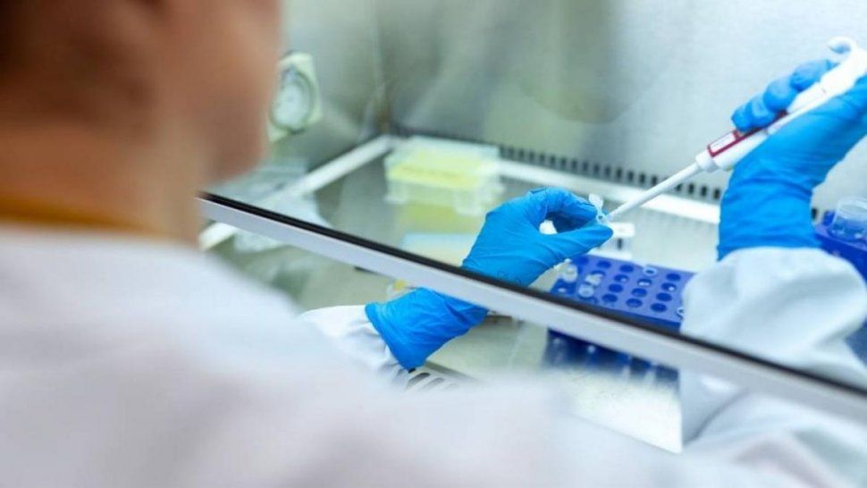 coronavirus en jujuy: 280 nuevos casos y 11 muertes en 24 horas