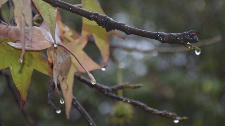 Otoño