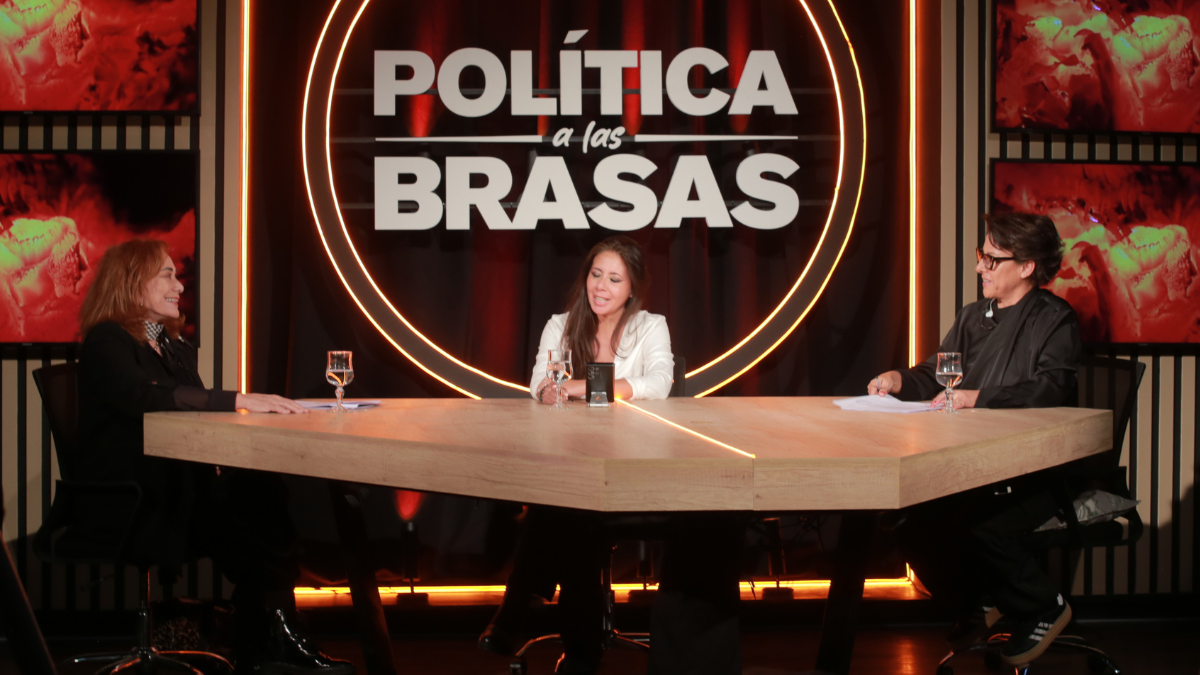 cristina guzman en politica a las brasas: la auditoria no audita y las empresas del estado no muestran nada