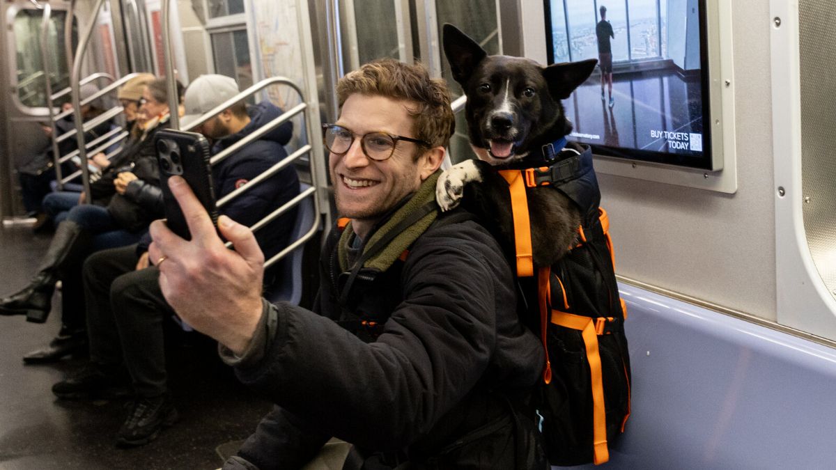 El influencer que pasea por Nueva York con perros de refugio y los ayuda a encontrar hogar.
