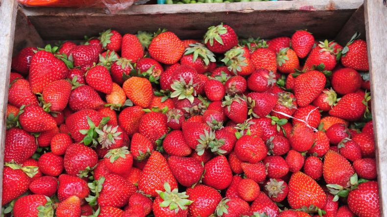 Salieron las primeras frutillas: a cuánto se vende el kilo en Jujuy
