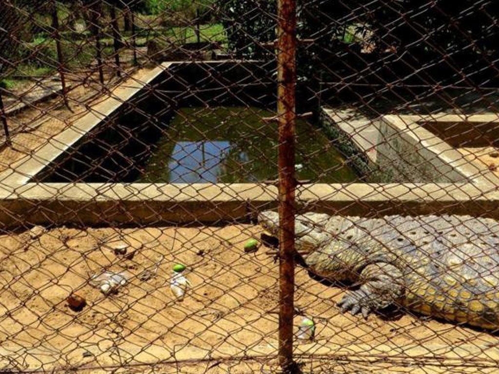Zoo de Mozambique
