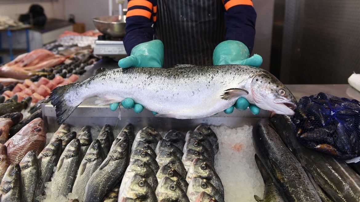 Pescados para Semana Santa (Foto ilustrativa)