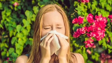 Consejos para evitar que las alergias interfieran en la calidad de vida.&nbsp;