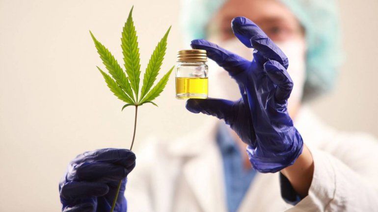 Cannabis medicinal: avanza el proyecto de ley en Argentina