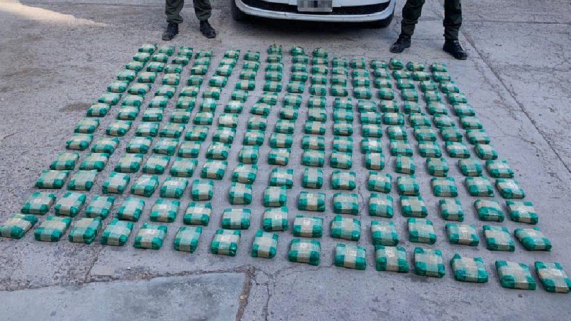 Todo Jujuy | Hojas de coca - Jujuy.jpg