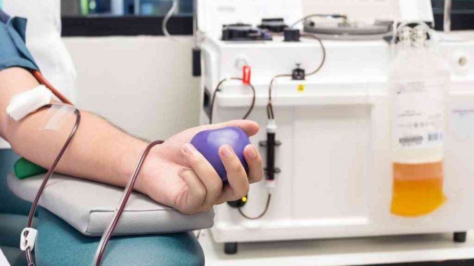 aseguran que el tratamiento con plasma tiene alta efectividad