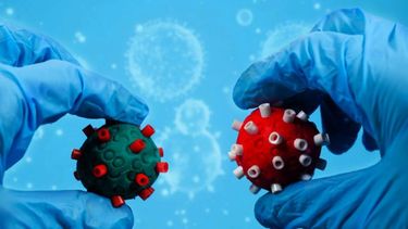 Flurona, la coinfección de covid 19 y la influenza.&nbsp;