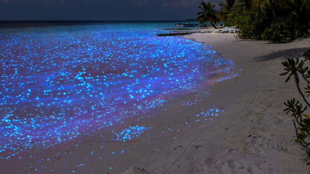 Isla Vaadhoo en Maldivas