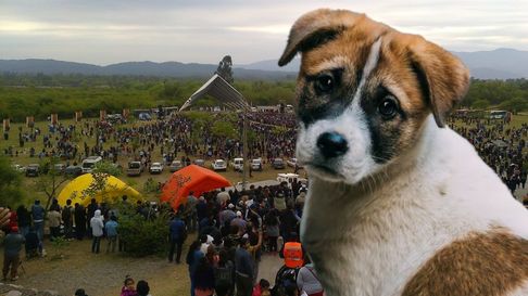 Todo Jujuy | Mascota.jpg