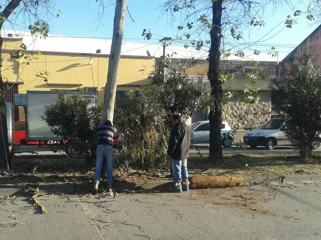 Viento Norte