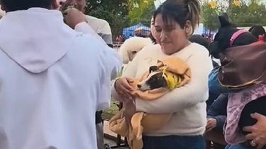 Familias y devotos participaron de una nueva celebración de San Roque, patrono de las mascotas y protector de los enfermos.