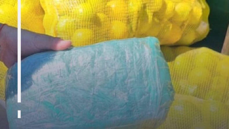 Secuestraron más de 150 kilos de droga y desbaratan una banda que operaba en Jujuy, Salta y Tucumán Secuestraron más de 150 kilos de droga y desbaratan una banda que operaba en Jujuy, Salta y Tucumán