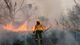 Incendios forestales en Jujuy (foto de archivo).