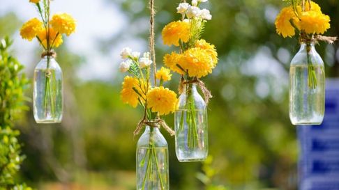 Todo Jujuy | Reciclá las botellas de vidrio y convertilas en hermosos floreros para tu casa