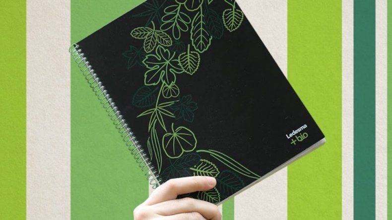 El primer cuaderno sustentable del mundo es jujeño: sus hojas son de caña de azúcar