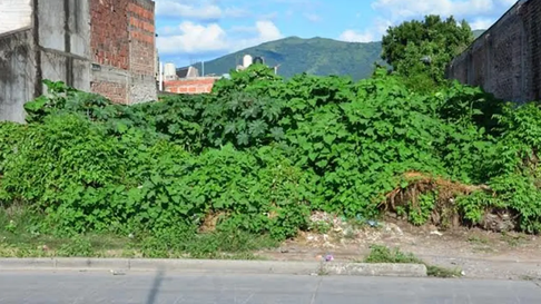 Todo Jujuy | Terreno baldio