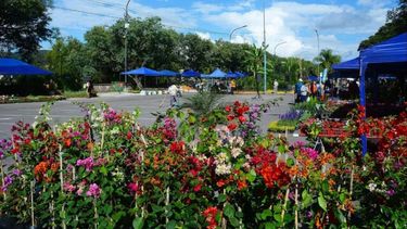 Exposición de Floricultura “La Flor Más Bella” (Archivo)&nbsp;