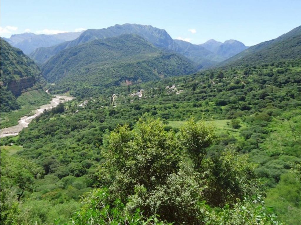 Bosques Nativos