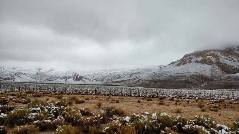 Nieve en pleno diciembre en la Puna jujeña