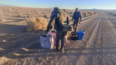 Salta: incautaron 128 kilos de hojas de coca &nbsp;
