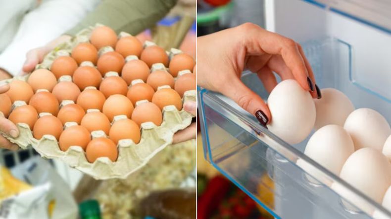 Por qué en el supermercado los huevos están en los estantes pero en casa se guardan en la heladera.  