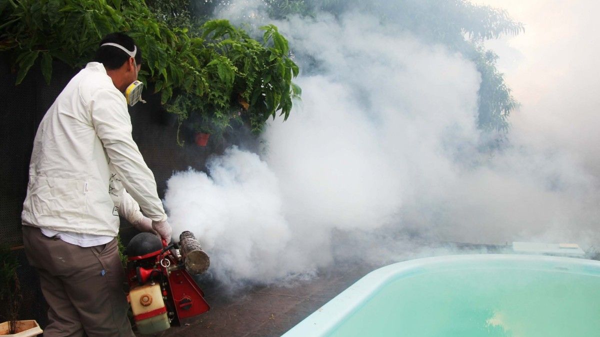 Paraguay enfrenta la peor epidemia de chikungunya de su historia.&nbsp;