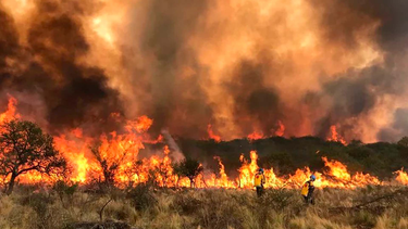 Incendios forestales en Córdoba.