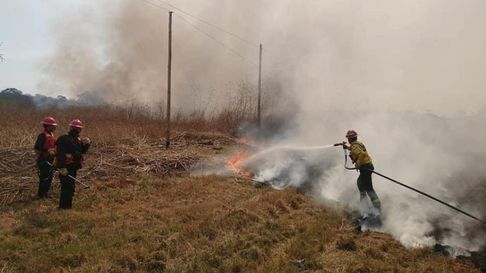 Todo Jujuy | Incendios en las yungas.jpg